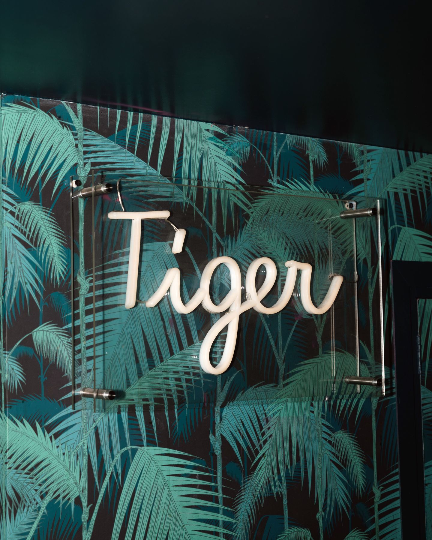 Bienvenue au Tiger
📸 @desprezmarie.studio