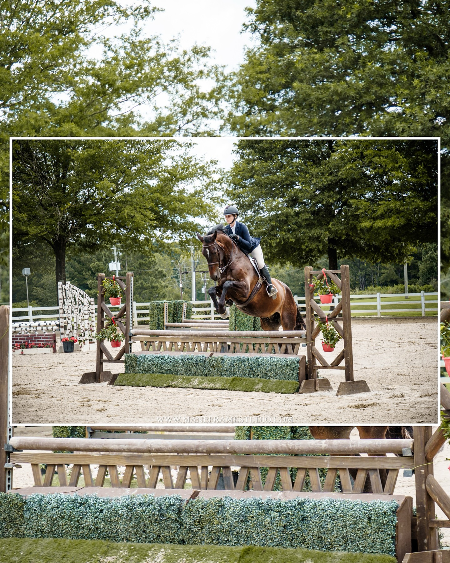 FALL SERIES at @horseshowventures! All proofs from Horse Show Ventures 2025 GIHP AUGUST SHOW have been uploaded for purchase! ⭐️
— You can view photo proofs under the photo proofs tab on my website. Thank you for a great weekend! Please contact me if you have any questions. ☺️ https://www.maneframestudio.com/photo-proofs
© Mane Frame Studio || Rhiannon Williams
Please do not screenshot. Thank you!
— at Georgia International Horse Park