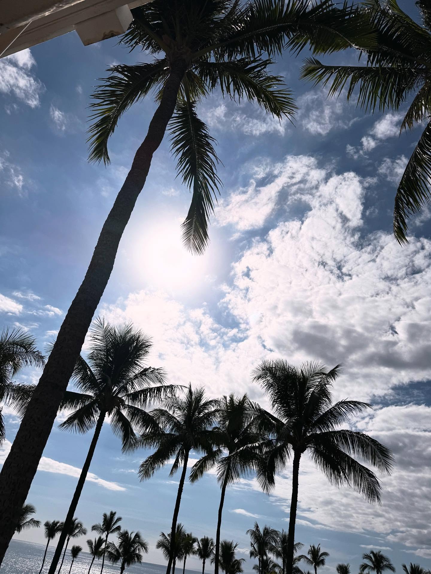 #Hawaii is always a good idea
#hawaiianislands #maui #grandwaileamaui #islandlife