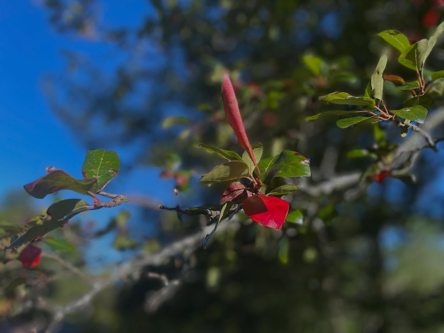 Welcoming the beauty in transformation