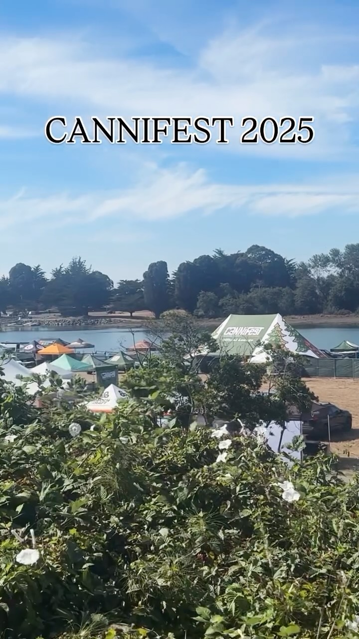 CANNIFEST 2025 LETS GO 🔥🌪️