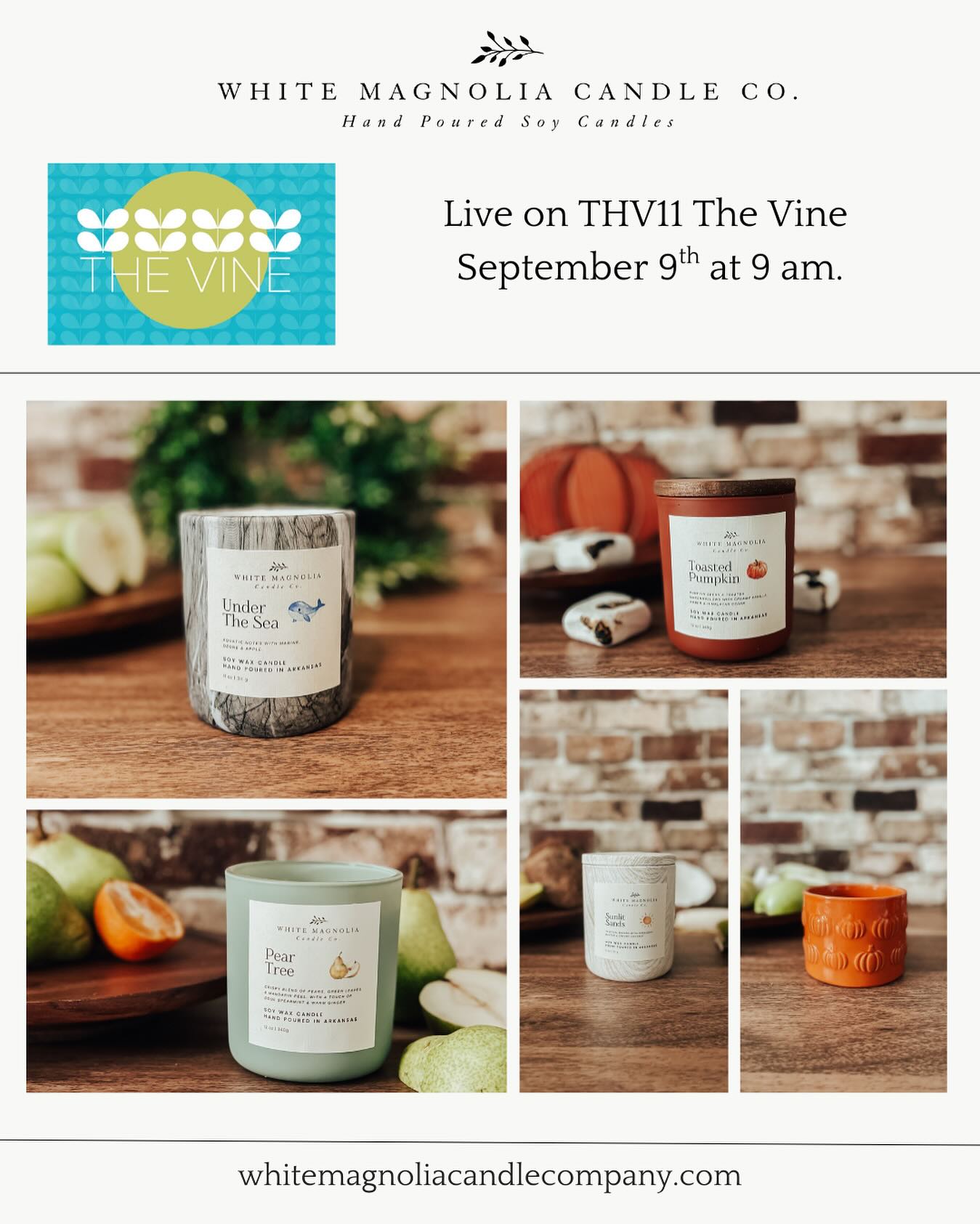 White Magnolia is back! Tune in on Tuesday, September 9th at 9 am on THV11 segment “The Vine” 🌿
We’ll be discussing our new collections & upcoming events!
Remember to order your candles on our website!
whitemagnoliacandlecompany.com