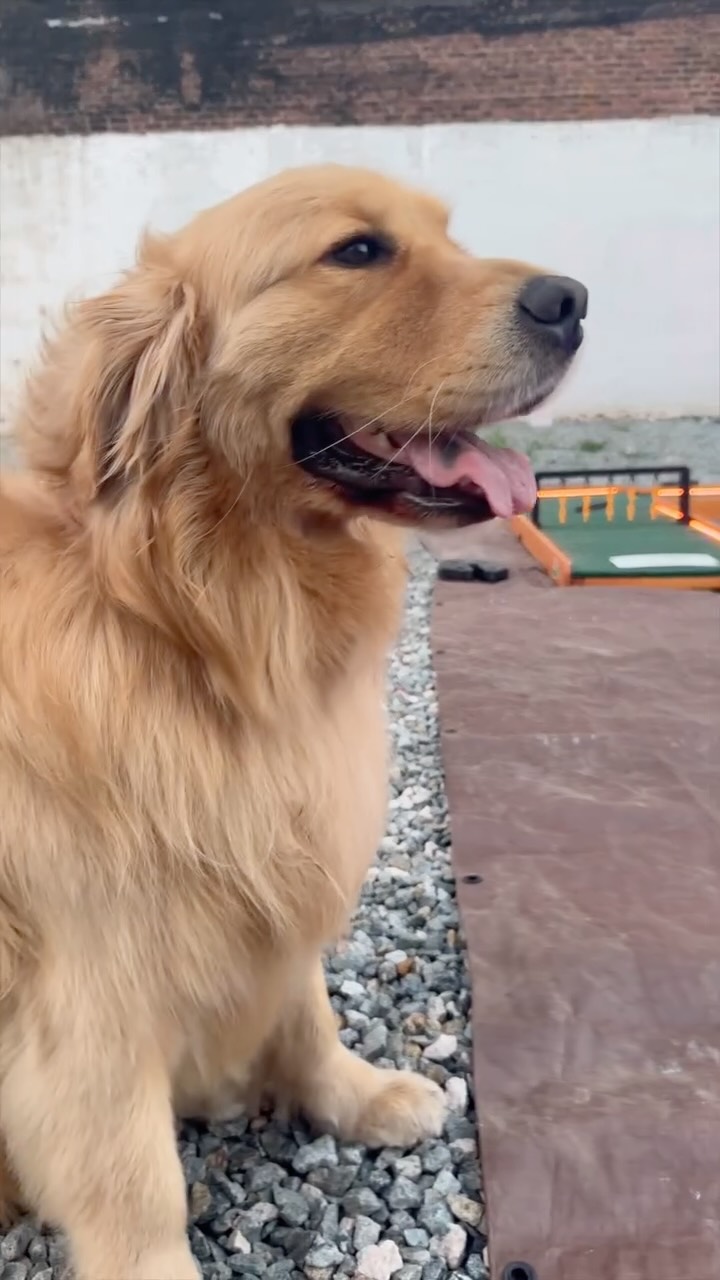 The First Annual Varitage Open was one to remember ⛳✨ We had our new glowing 9-hole mini golf which brought a day full of friends, laughs, and hole in ones!
Don't worry if you couldn’t make it, stay tuned for our next event annoucement soon. You won’t want to miss it! 🍿
Want this experience for your own crew? From birthdays to team outings, we bring the Backyard Cinemas straight to you. Visit backyardcinemas.com to book your event today!
#BackyardCinemas #VaritageOpen #MiniGolfNights #OutdoorMovies