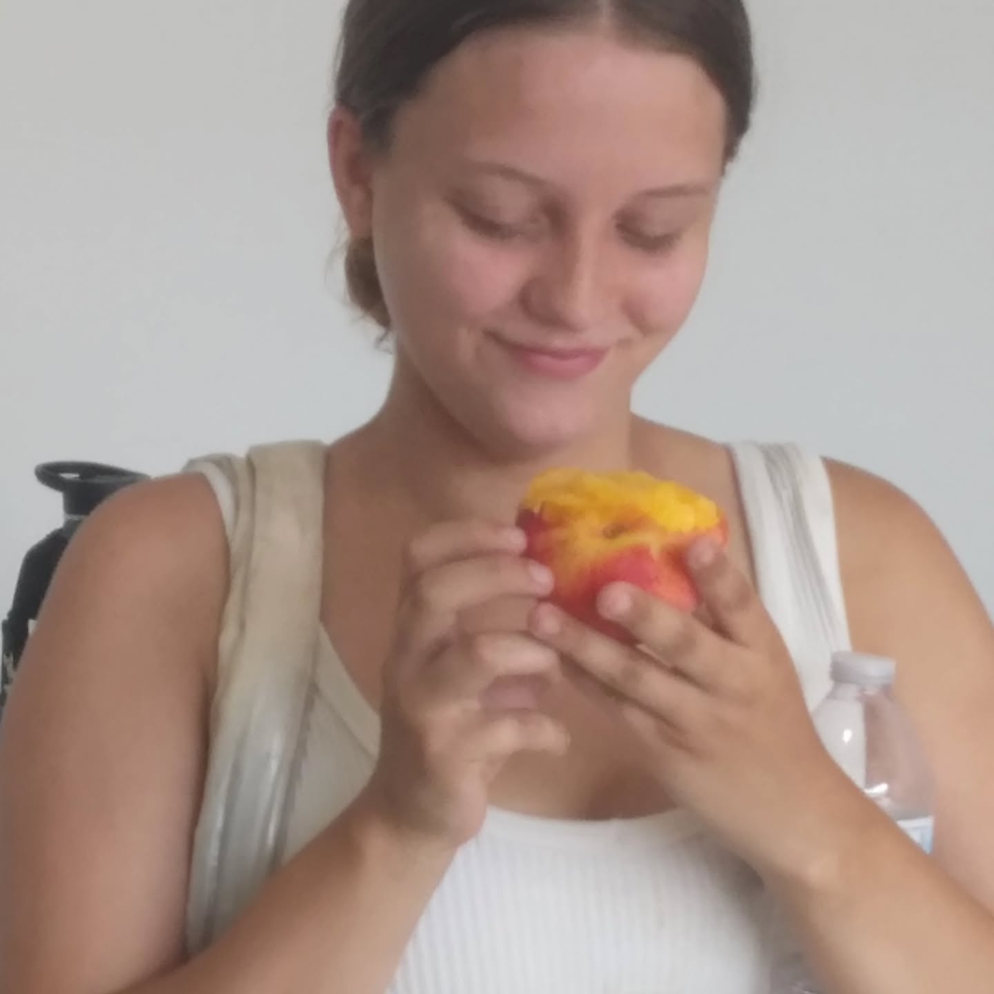 PICK YOUR OWN PEACHES! $1.50 per pound
Tuesday August 26th from 4-8 pm.
587 South Ludlow Road, Urbana 43078
THE SEASON IS NEAR THE END- GET THEM BEFORE THEY ARE GONE!