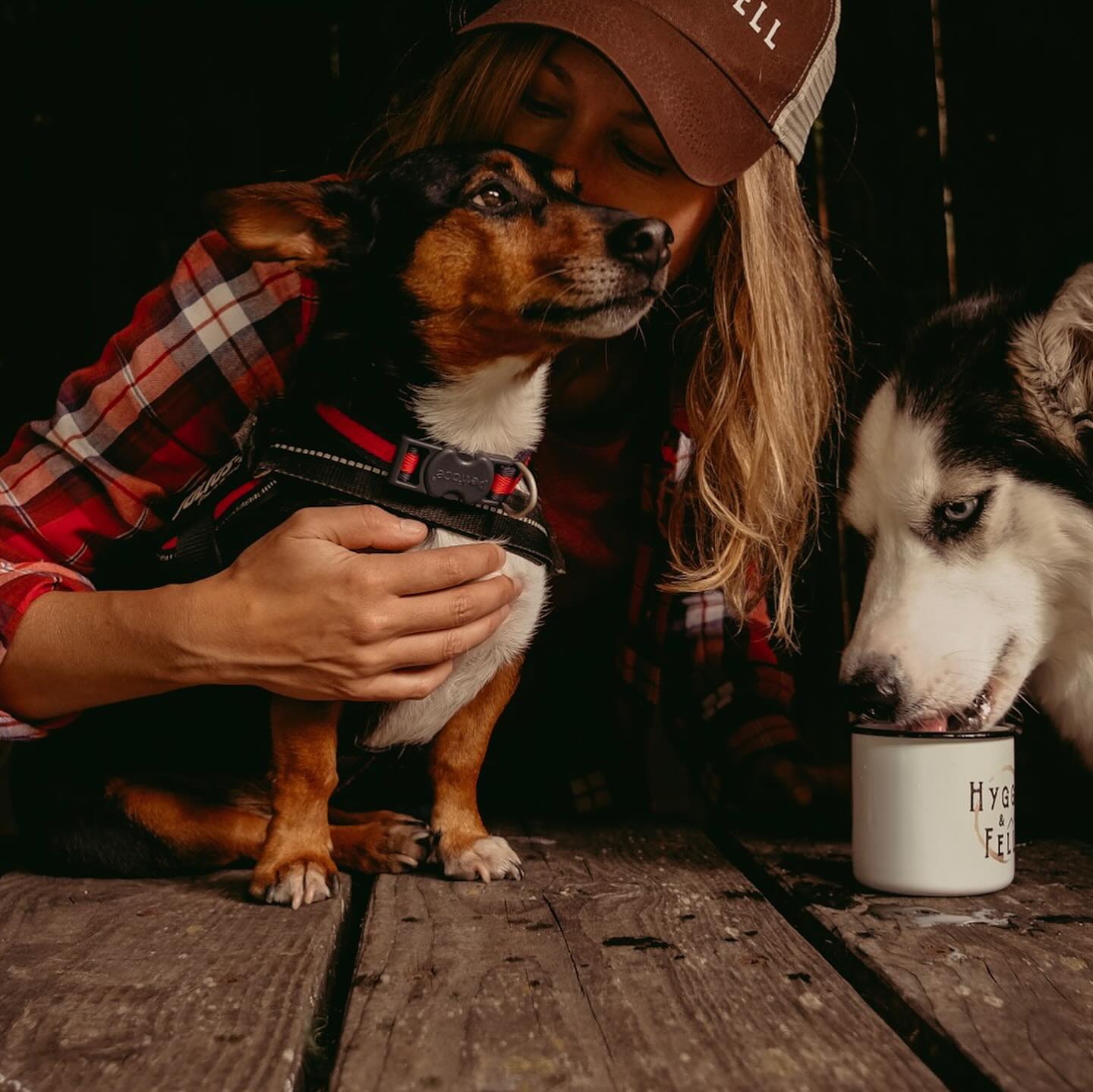 Today I lost my little soul mate, the absolute love of my life, best friend, adventure and snuggle buddy, my rock, my hero and the kindest little soul I’ve ever known. He fought to the last breath to stay with me. I love you always my little Archie xxxx