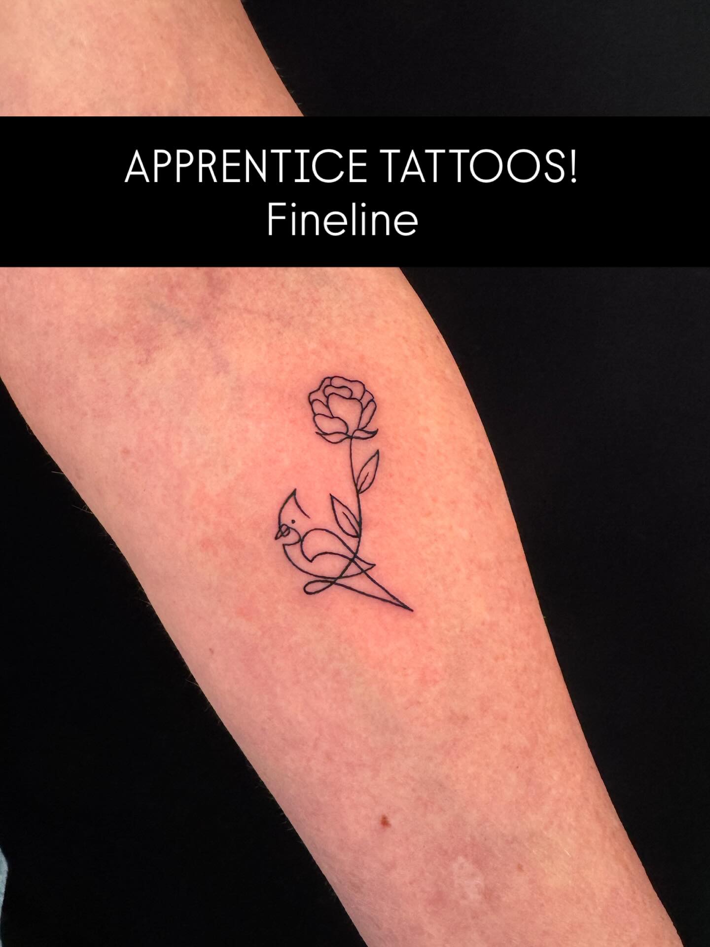 Finally posting still photos of my tattoos, starting from the very beginning!
Apprentice Tattoo Dump: Fineline (January - March 2025)
Let me tell you, linework was my absolute ENEMY during my apprenticeship 😂 My mentor knew that as a realism artist on paper, linework would be my toughest learning curve (and he was completely right). He knew shading and realism would come naturally to me, so he wanted me to lean heavy into linework first to make sure I didn’t shy away from it. And I’m so glad I followed his advice. Fineline is extremely challenging even though it seems so simple - there’s no where to hide and no room for error. But practice makes progress, and I’m excited to continue developing my fineline skills :) Shoutout to @xavierpricetattoo for being an amazing mentor - thanks for making me better, Coach! 🫶🏼
#tattoos #apprenticetattoos #finelinetattoos #fineline #tattooartist #femaletattooartist