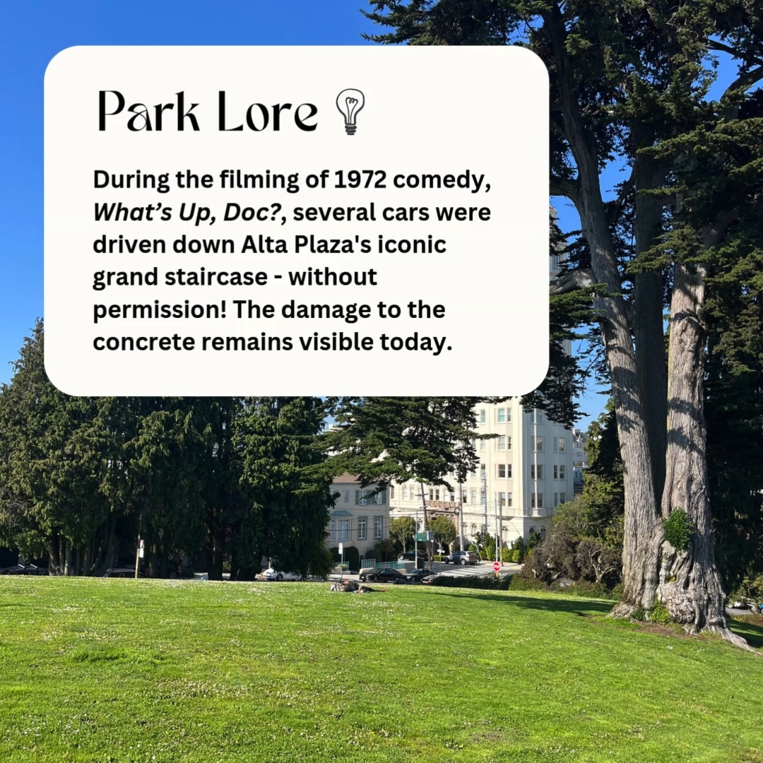 Oops 🚗💥🚙
#hatbrand #altaplazapark #sfparks #funfact #moviefacts