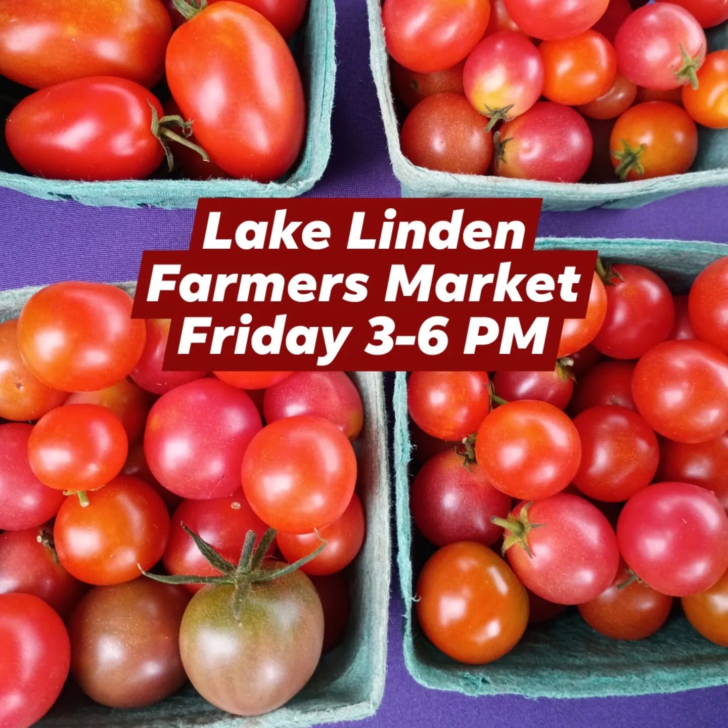 🎉 Lake Linden Farmers Market
Fridays • 3–6 PM • Village Park
Fresh produce, local goods, and good vibes—come connect with your community and stock up for the weekend!