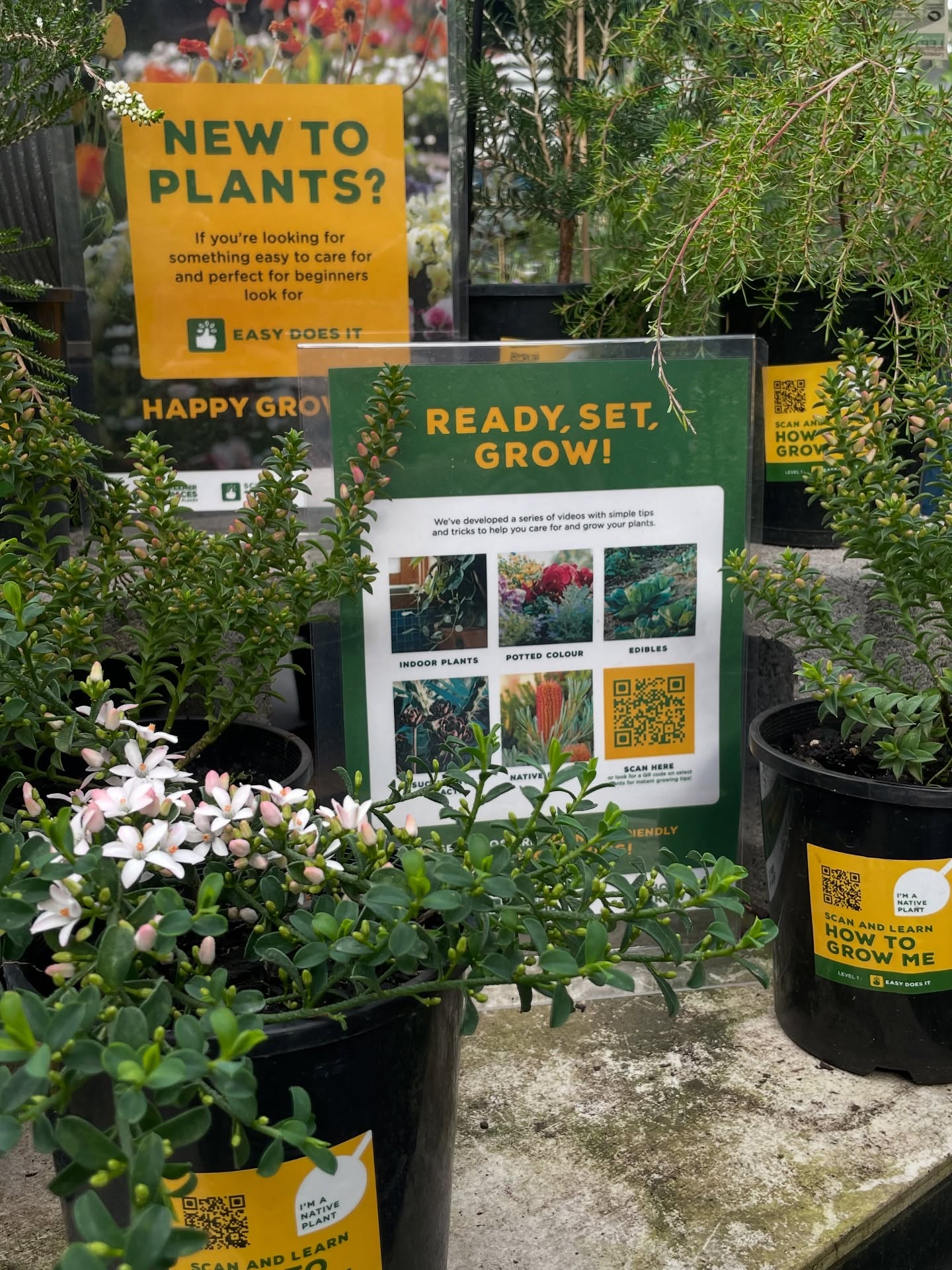 Have you noticed these signs and stickers around our nursery?
Throughout August we’ve been participating in the Greener Spaces Better Places “School of Thumb Learning Program” 🪴
It’s been a great way for us to help bring valuable learning resources to our community.
We hope you’ve enjoyed the how-to guides as much as we have!
#localnursery #plantingtips #plantnursery
