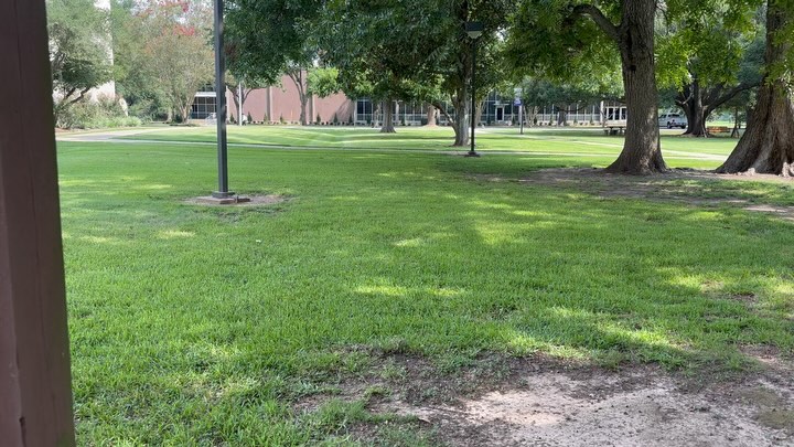 I took a tour during 1/2 time. As I sat on a swing in the middle of campus, I reminisced about my college days and felt extremely grateful for my SWTSU (and Lone Star) experience. Grateful for the people I met, the classes, professors, fun, student teaching, clubs, joy… every single bit of it! I said a prayer for the students here as well as all students around the world. Prayers for growth, success, leadership, memories, and relationships that will blossom and lead them in the beautiful plans that God has for them. (Side note, I loved that there was lots of activity right outside the library. 📚 😊) Maybe I should visit college campuses more often. 😉 Wow! Feels so good to see this.❤️