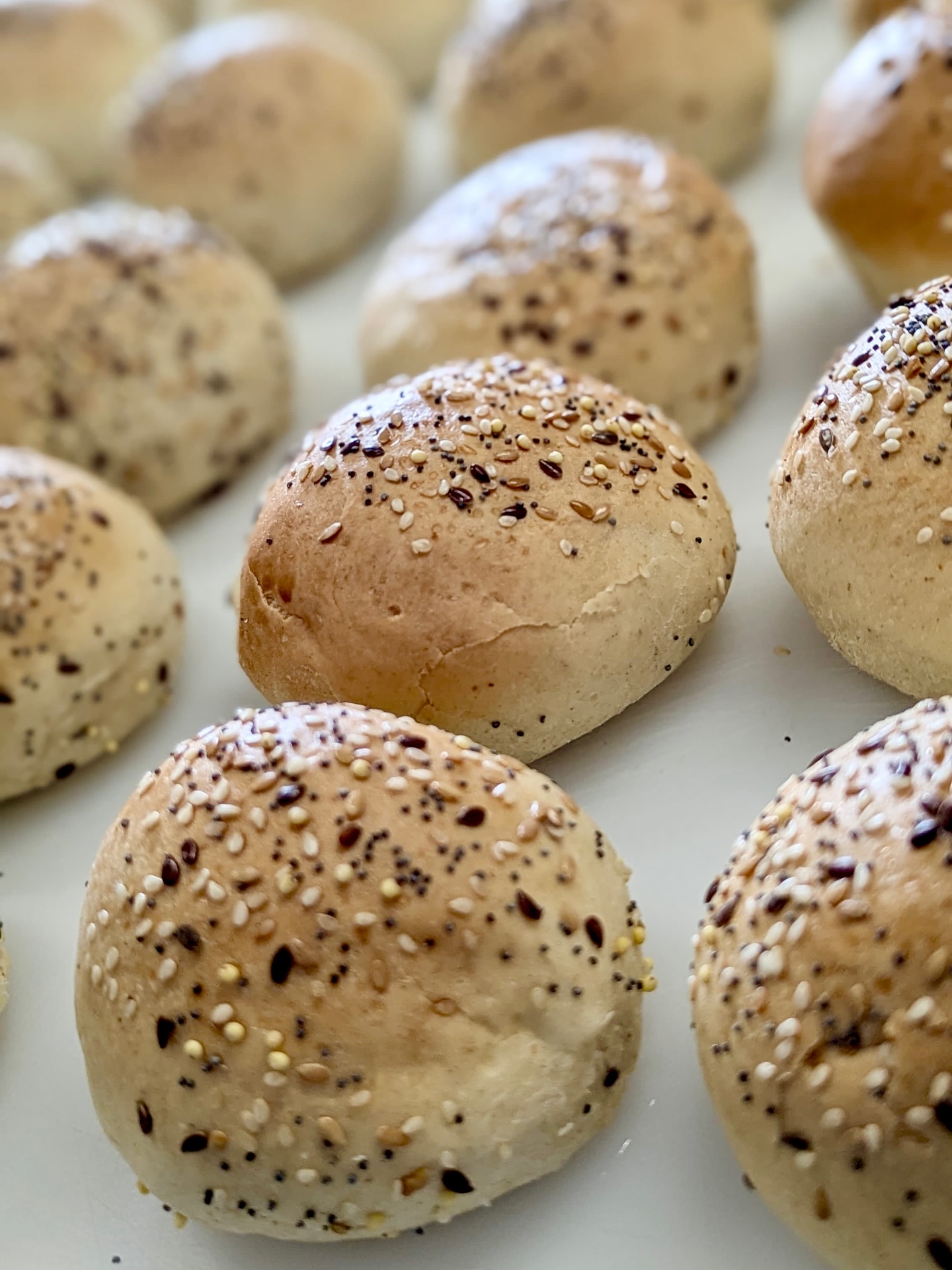 Des pains qui font toute la différence 🍔✨
Chez nous, chaque détail compte.
Pour les cheeseburgers de nos buffets, nous travaillons avec un artisan boulanger local qui prépare ces petits bijoux avec des ingrédients de qualité et un savoir-faire unique.
Moelleux, dorés… ils sortent du four juste pour vous régaler !
🔥 Vous les imaginez déjà garnis ? Nous aussi…
#traiteurmontpellier #boulanger #cheeseburgers #montpellierfood #faitmaison #catering #montpelliernow