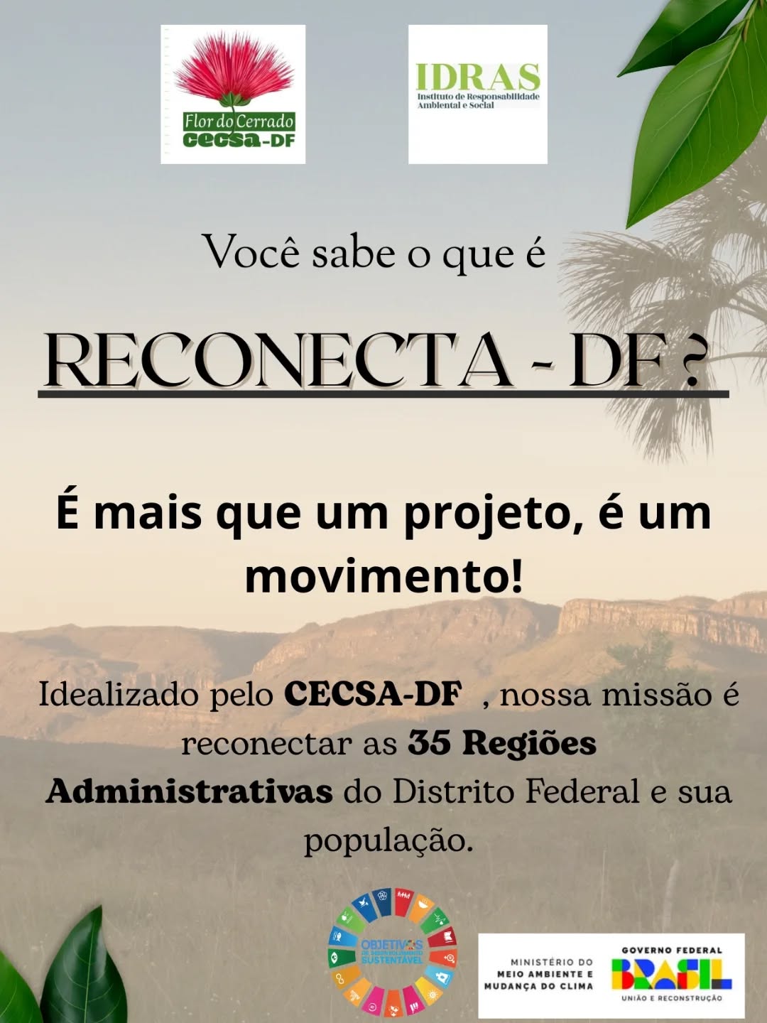 🌿 Vamos juntos 🌿
#cecsadf #ReconectaDF #ministeriodomeioambiente #sociedade #brasiliadf #politicaspúblicas #sema #população #educacaosocioambiental