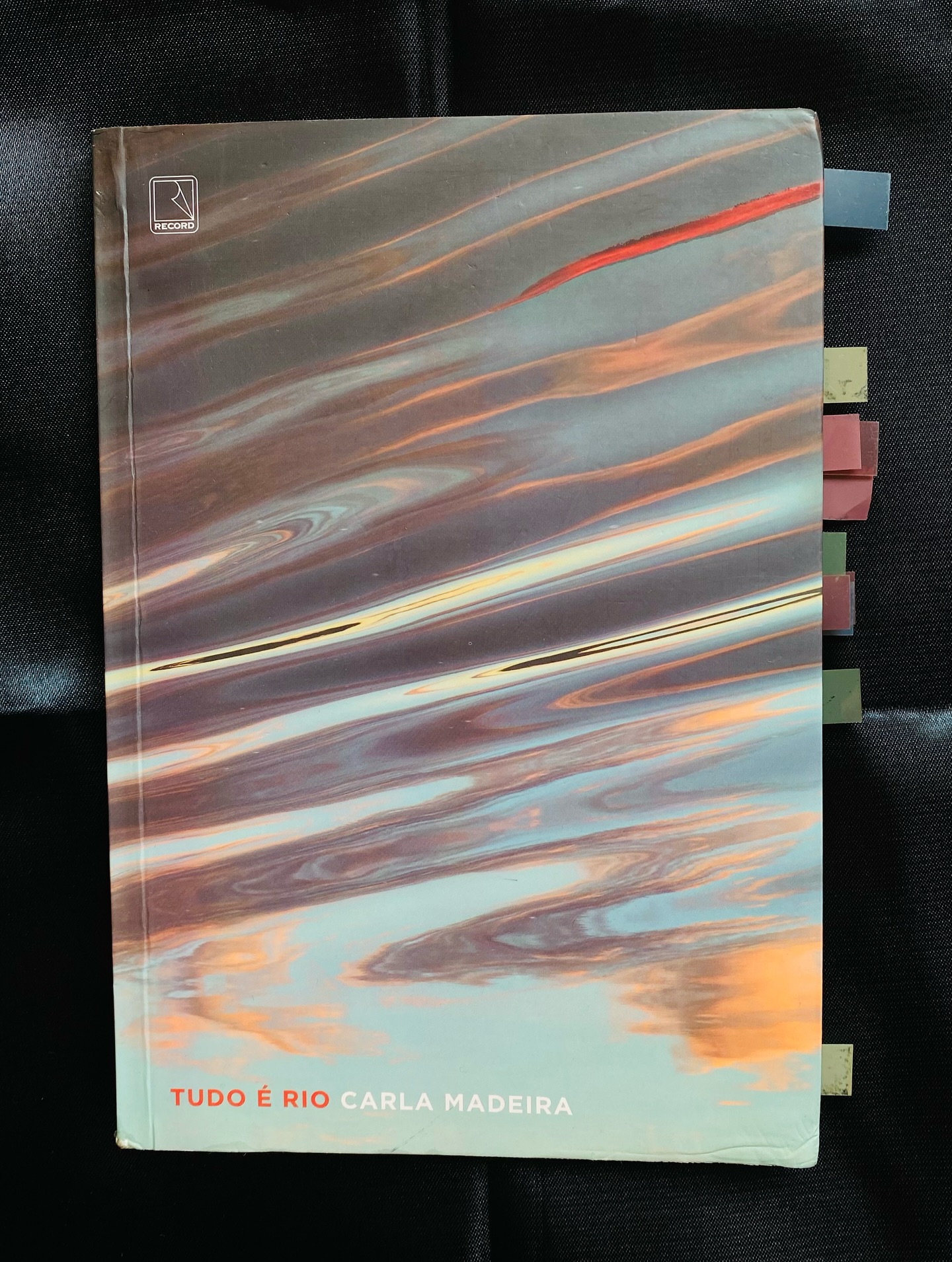 TUDO É RIO - CARLA MEDEIRA
Nota: ⭐⭐⭐⭐
TUDO É RIO é aquele tipo de livro que mexe com toda a sua estrutura. Como se fosse uma correnteza de um rio desgovernado prestes a inundar tudo que conhece para transformar em uma grande tragédia. Foi isso que senti ao ler Tudo é Rio.
Carla Medeira traz em seu livro de estreia uma história totalmente original — eu pelo menos nunca li nada parecido com isso. Em 206 páginas, Carla despeja histórias comoventes, absurdas, deprimentes, cabulosas e uma transgressão de atos inimagináveis que acontece em uma cidade pequena no qual não tem nome. No meu imaginário, se passa em Minas Gerais, acredito que por algumas características inconfundíveis — posso até estar errada — mas tudo deixa com essa sensação, principalmente a forma de se expressar.
Já de cara conhecemos Lucy, uma prostituta e, ouso dizer, que com muito orgulho de sua profissão. Órfã de pai e mãe, Lucy só tinha sua tia, Duca, na qual ela vivia antes de se jogar na vida. Todos viviam bem em casa: ela, Duca (Tia), o Tio Brando e as duas primas, Cleia e Valéria, mas sempre se sentiu um pouco deslocada, como se estivesse sobrando. Com o tempo, Lucy sentia que o seu tio tinha uns olhares diferentes para ela, e com o tempo ela foi sentindo algo mudando dentro de si. Com o desaguar do Rio, Lucy se vê sendo a prostituta mais desejada da região, onde já chega na casa da Manu, a dona do puteiro da cidade, com a sua fama consolidada. Todos os caras querem fazer sexo com ela, todavia, chega Venâncio, um homem até jovem e muito bem-visto. Lucy já anuncia que é com ele que ela quer pernoitar — já que a própria escolhe os seus homens — mas Venancio não quer Lucy de jeito nenhum.
Leia a resenha completa no blog, o link está na Bio.
#tudoério #resenha #resenhaliteraria #feed #carlamadeira #escritora #brasil #literaturabrasileiracontemporânea #instagram #bookstagrammer #instabookstagram #trágico