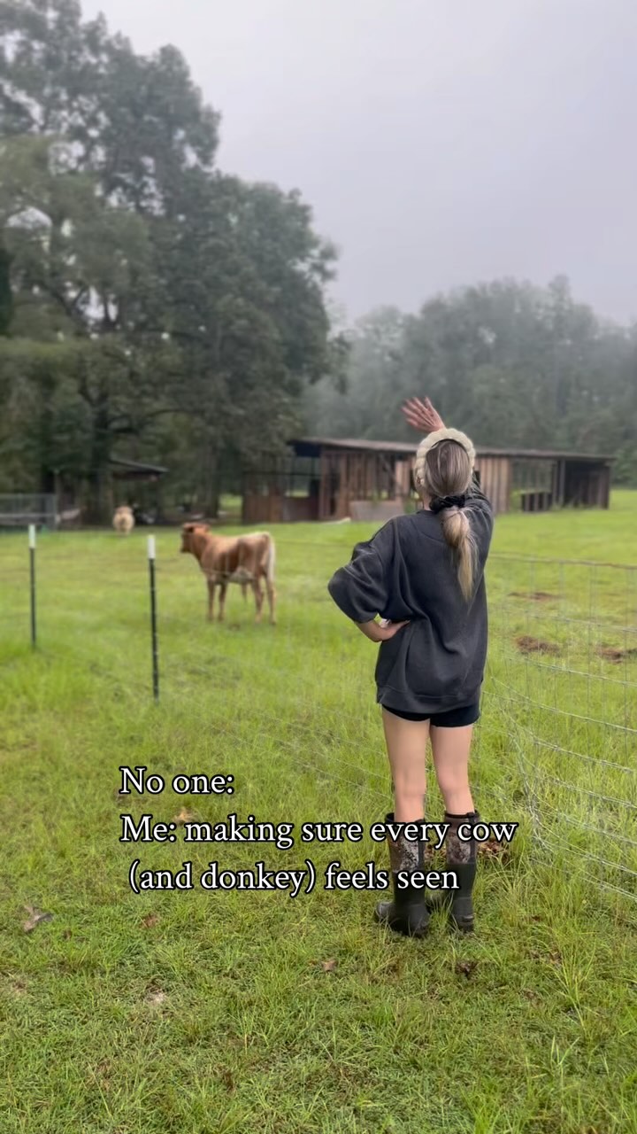 Don’t forget me😭🤍🫶🏼
#minicows #cowstagram #minihighlands #minicowsofinstagram #minihighlandcow #minicowlover #cowlover #lovecows #cowsofinstagram