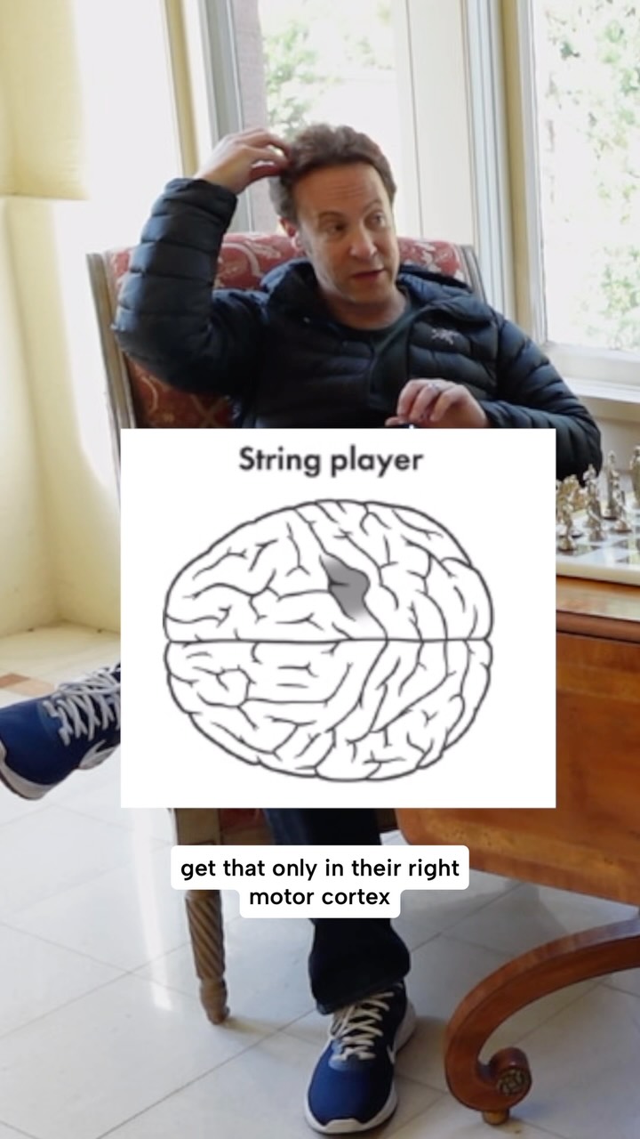 If you were handed two brains, one from a pianist and the other from a violinist, you could likely spot the difference 🎻🎹🧠