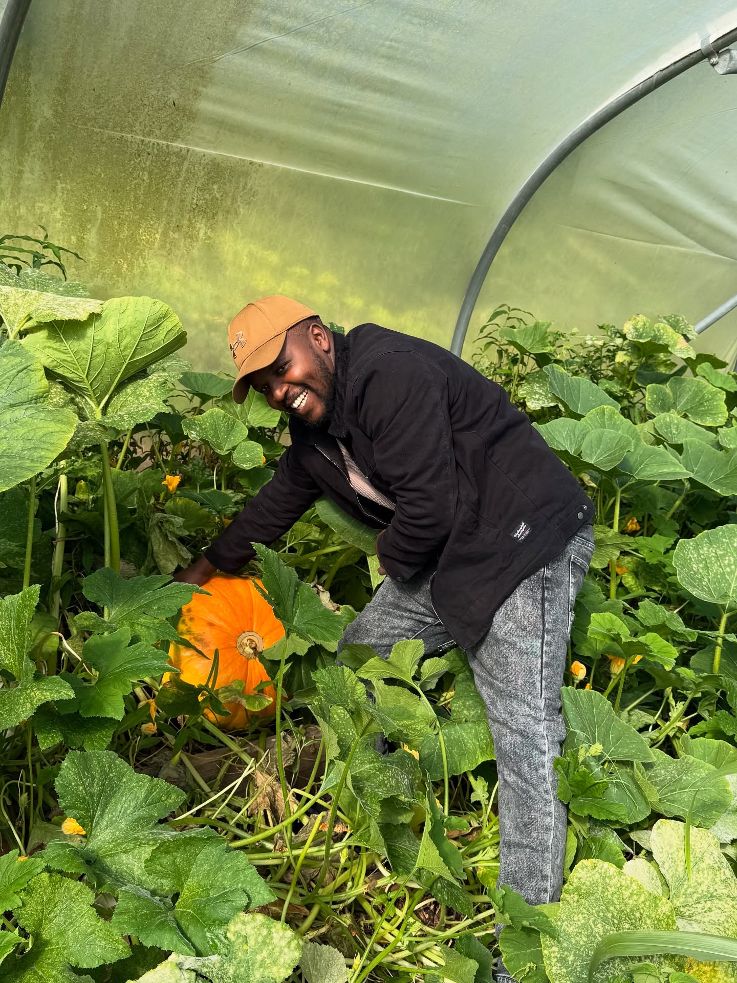 🎃🌱 Giant surprise in the Polytanian! Today we discovered a huge pumpkin, and it got us wondering — why do some veggies grow so big? 🤔✨
It turns out size depends on a mix of good soil, plenty of water, lots of sunshine, and the right variety of seed. Some pumpkins are bred to grow giant, while others just get extra love from nature 🌞💧🌿. When conditions are perfect, vegetables can surprise us with their size — a reminder of the abundance and generosity of the earth. 🌍💚
This pumpkin is not just food — it’s a celebration of patience, care, and the magic of growth. 🪴
#PumpkinLove #GardenMagic #BigHarvest #WhySoBig