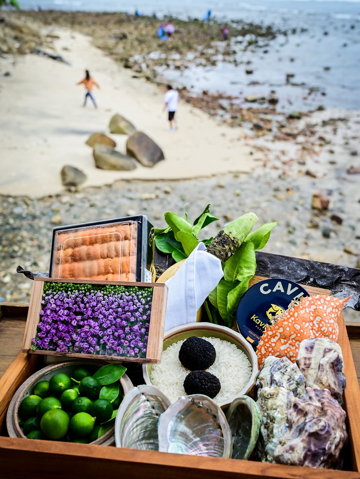 A window into our philosophy: every dish begins here.
Freshly sourced, meticulously selected, and elegantly presented — our show box reveals the essence of L’Arôme by the Sea. From ocean treasures to seasonal harvests, each ingredient tells the story of purity, seasonality, and contemporary European craftsmanship.
#PhuketDining #PhuketRestaurants #SeasideDining #OceanViewDining #PhuketLuxury