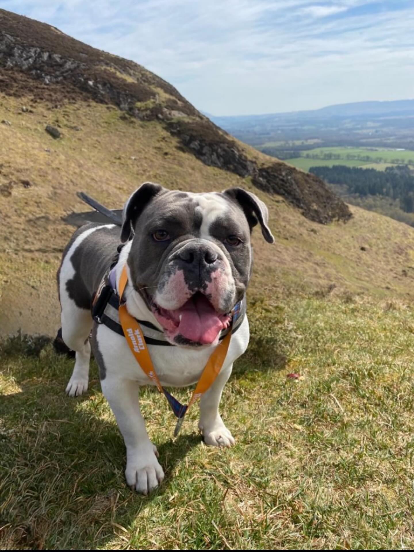 Walks, cuddles, calm, and laughter - she’s the heart of my self-care. Happy #NationalDogDay 🐾🤍