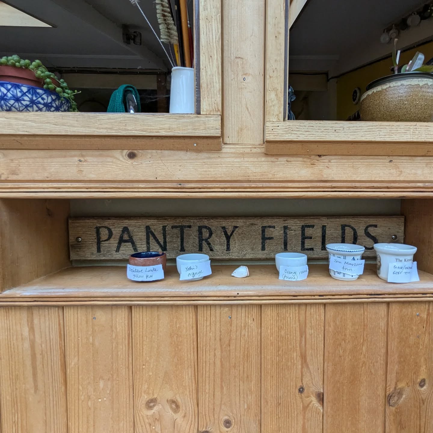 Seed saving...
#self-reliant
#justdoıt