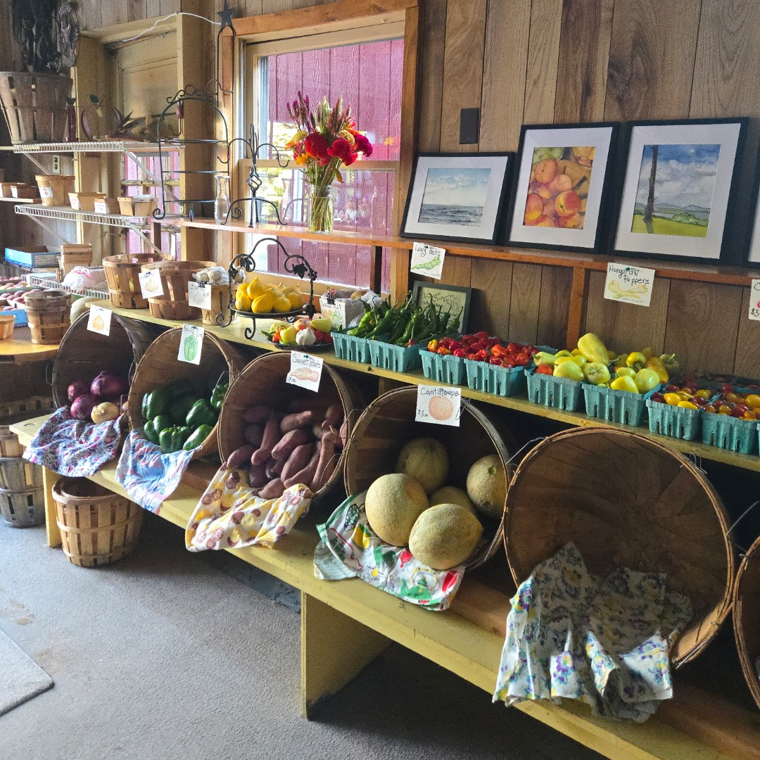 Come and see us for Labor Day weekend!! We are stocked up on your favorite peaches and apples!! Sweet corn to flowers to chocolate treats!! @harmonyciderpress