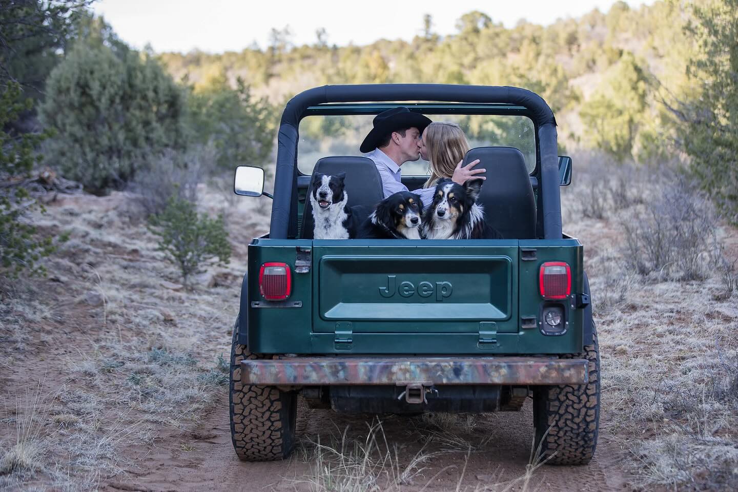 Are pets a major part of your family? Have them join in on your engagement fun!