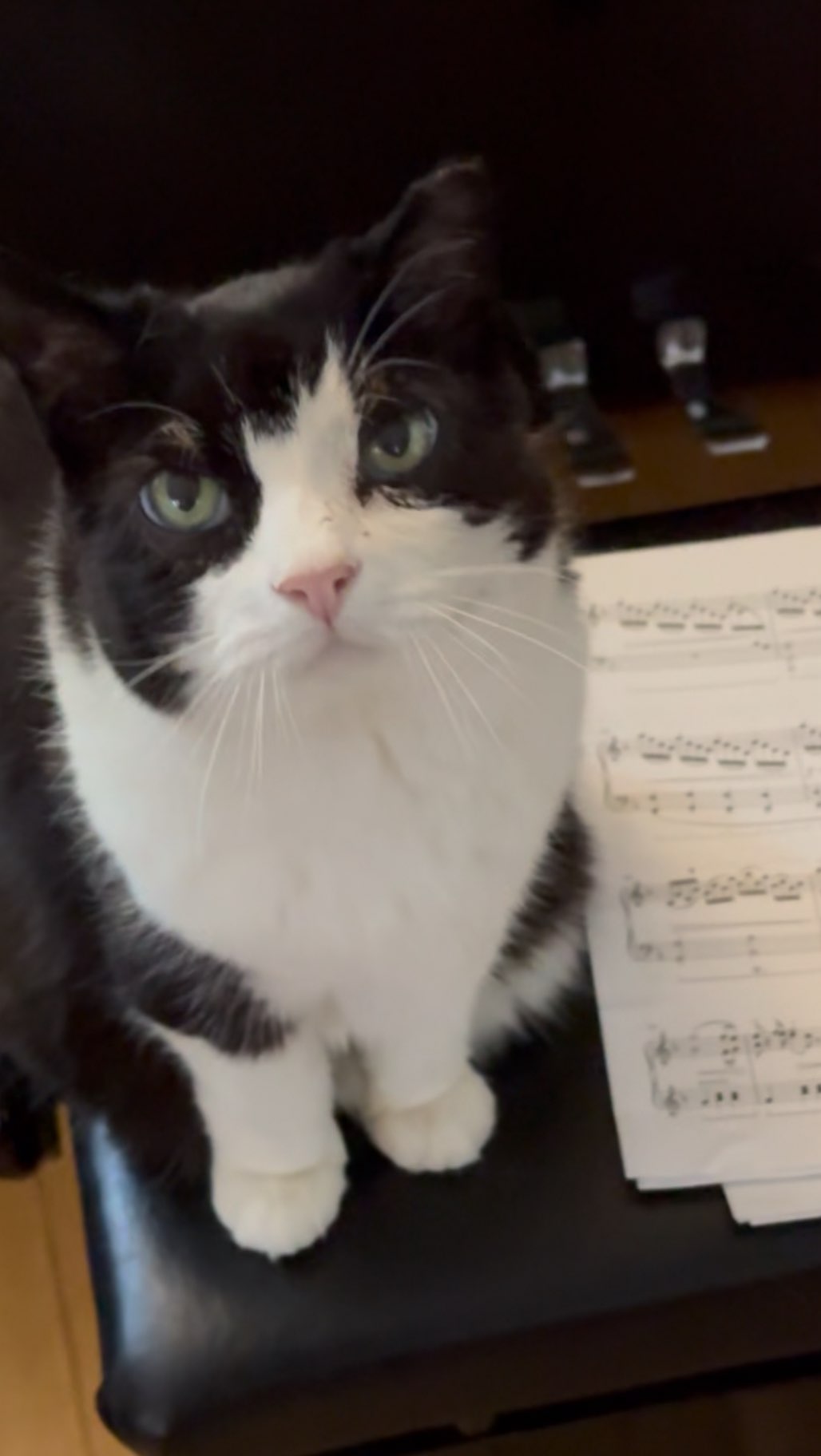 Link in bio! 🎶
@imslp.official
#solopiano #cinematicmusic #modernclassical #stavrosfirst #filmcomposer #minimalistmusic #fyp