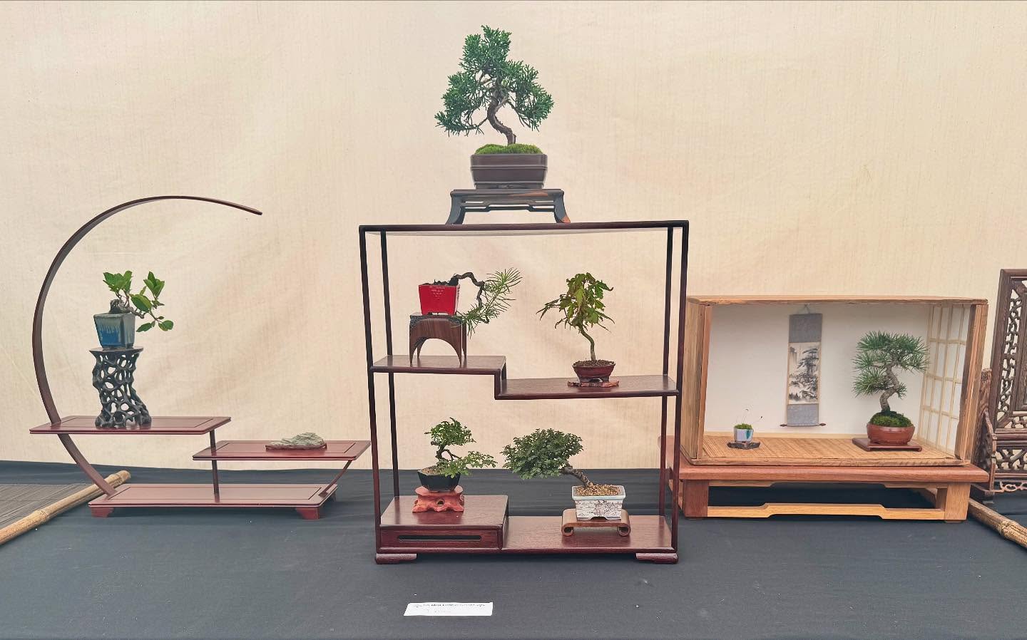 Great to see so many attending the UK Mini Bonsai group display and talk at @davidcheshirenurseries .
We even had one of our club members displaying his trees. @southstaffsbonsai . #bonsai #mamebonsai