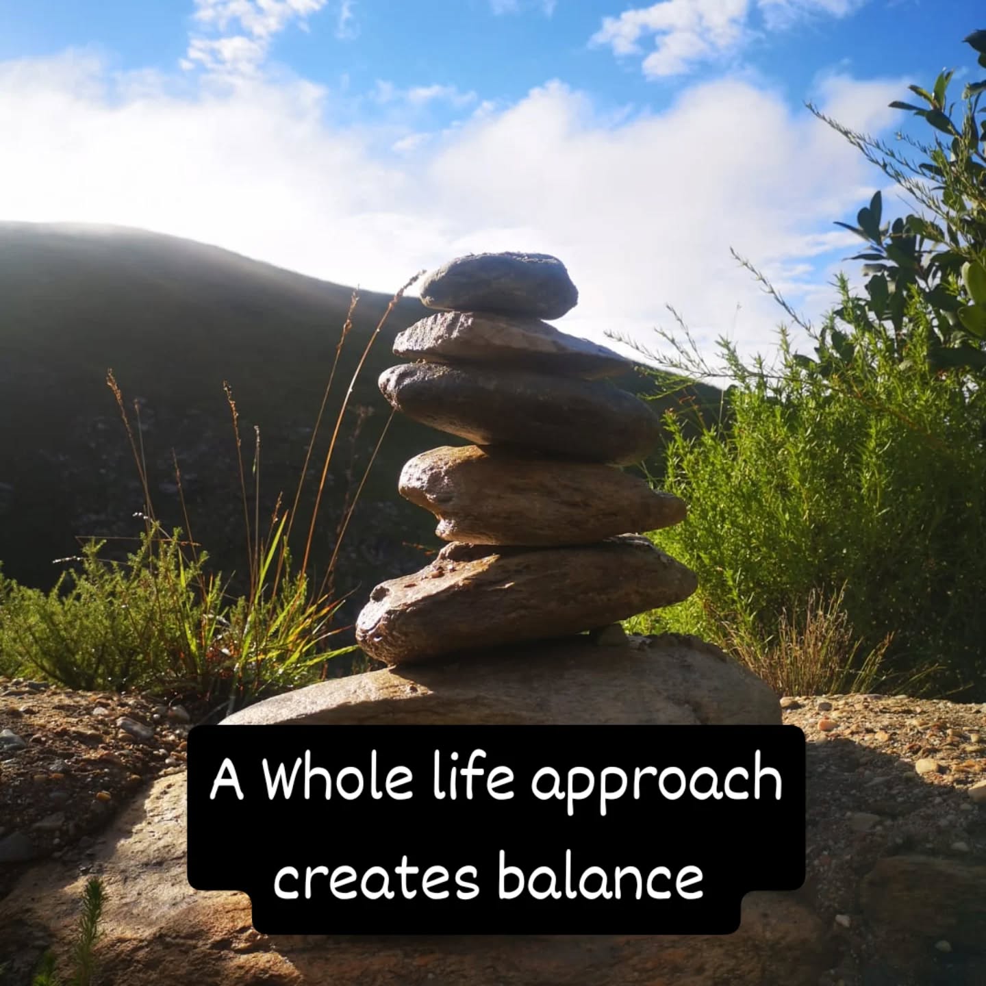 August has been the month where we looked at what a Whole-Life approach looks like! Here is a summary🪺