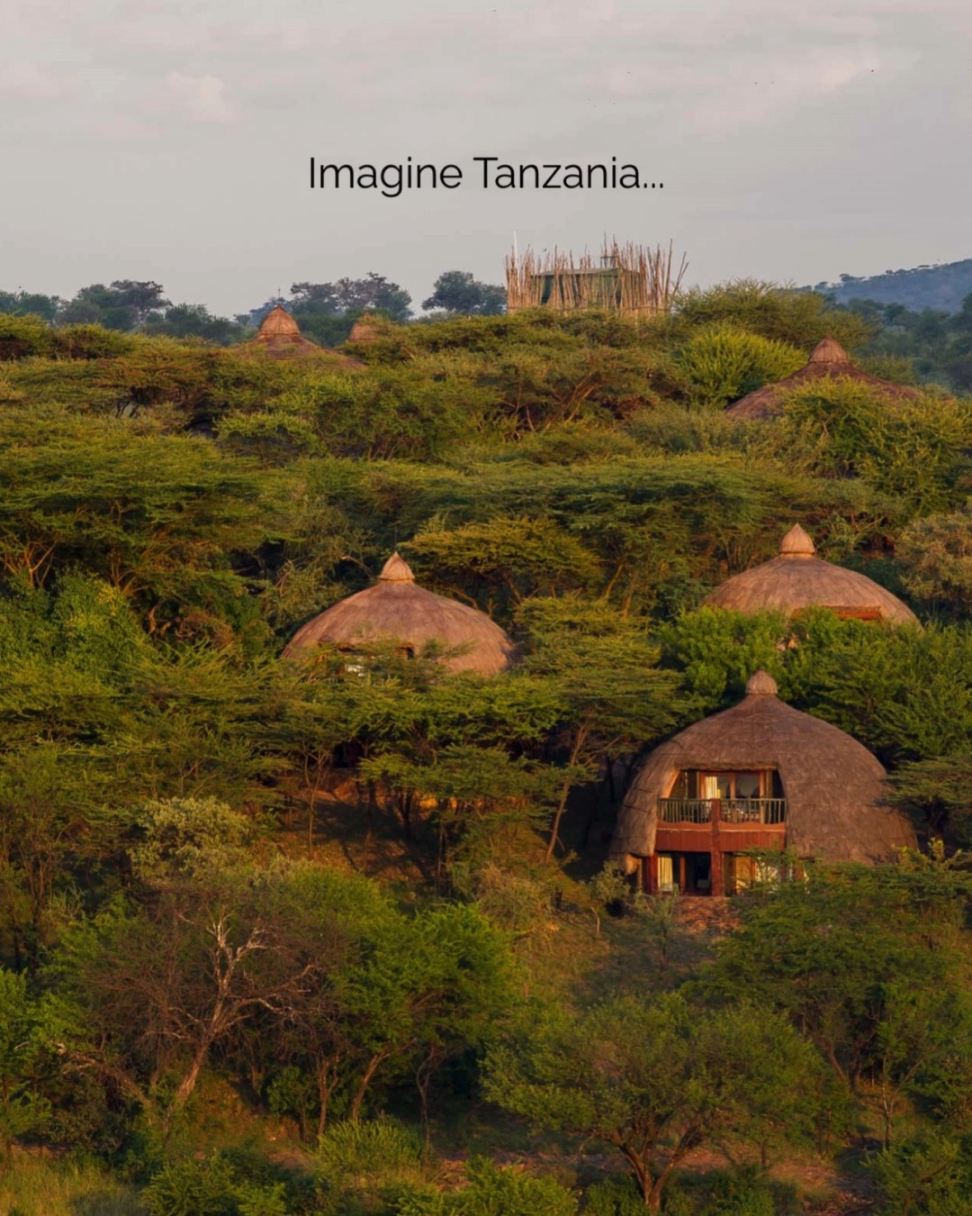 The golden savannas at sunrise.
The rhythm of the Great Rift Valley.
Encounters that stay in your heart long after the journey ends.
With Lyratika Essentiel, Tanzania is not just about safaris.
It’s about slowing down, listening to the land,
and sharing authentic moments with those who call it home.
✨ A journey crafted for depth, not distance.
✨ An invitation to feel more, not see more.
→ Discover Tanzania with Lyratika Essentiel via link
https://www.lyratika.com/lyratika-essentiel
#LyratikaEssentiel #TanzaniaWithSoul #SlowTravel #AuthenticJourneys #Lyratika #TravelWithSoul #TransformativeTravel #MindfulExploration