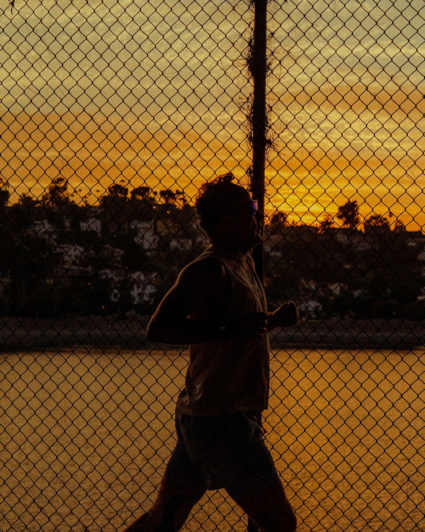 Sunsets on Sunset
.
Nothing beats a gradient orange sky and running in good company