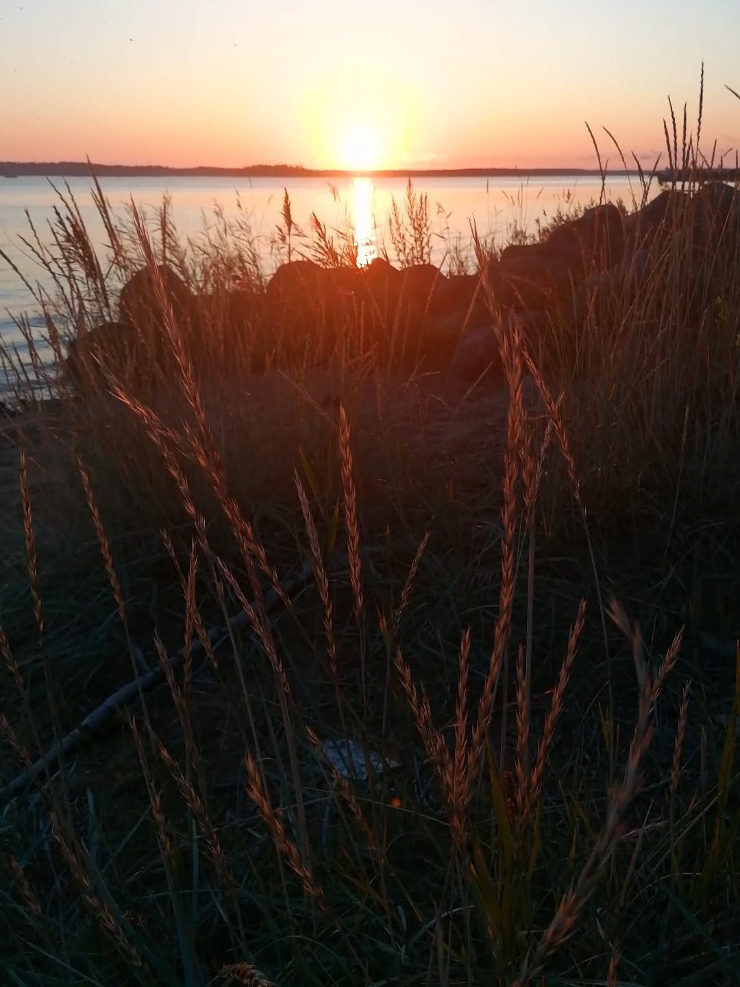 Stare at the sun - it's good for you.