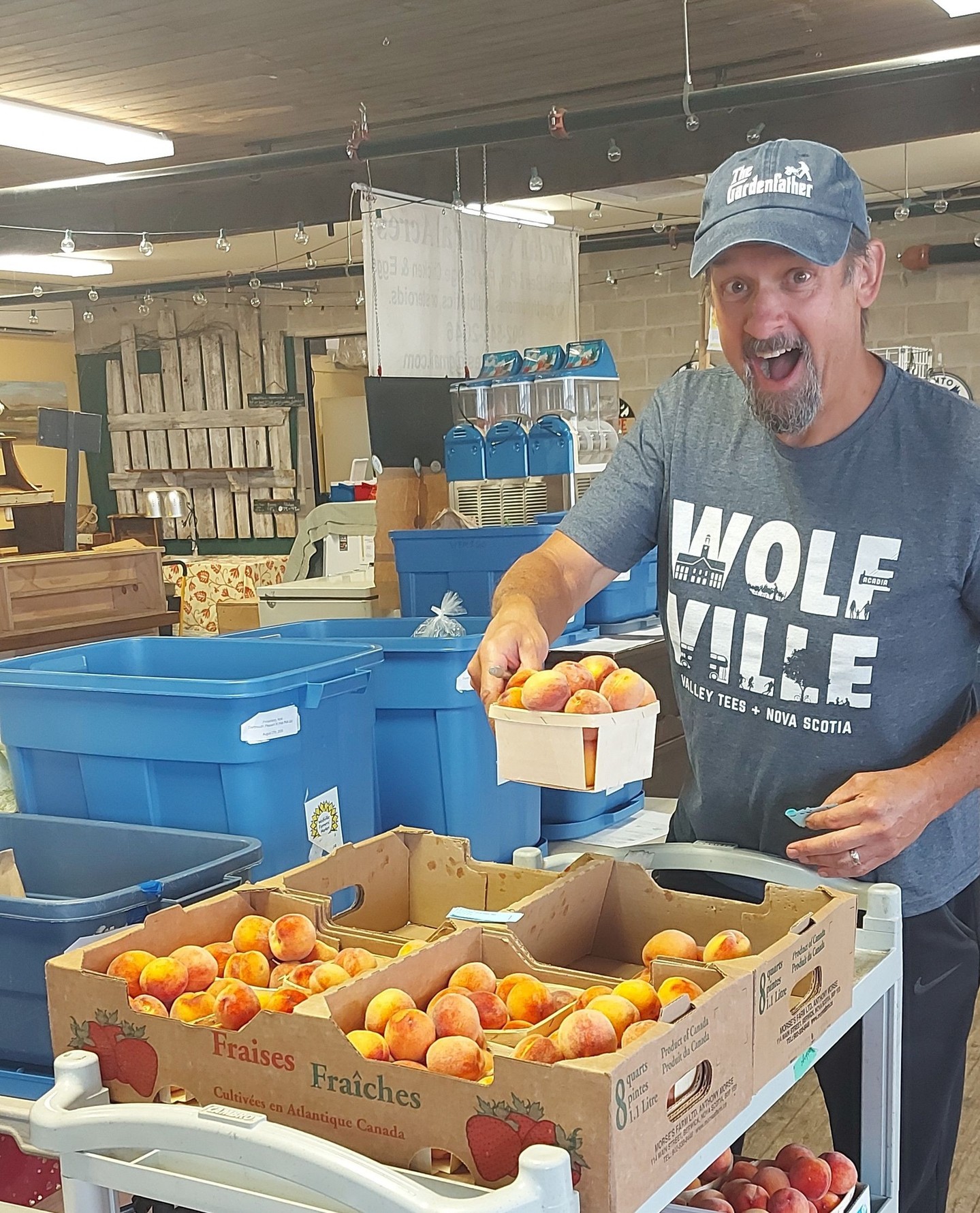 Some scenes from this pack day. Thank you to @herbalhillfarm 's delicious peaches and Al's dramatic posing skills!â
â
â
#wolfvillefarmersmarket #wolfville #annapolisvalley #novascotia #farmersmarket #wfm2go #shoplocal #eatlocal #buylocal #supportlocal #freshproduce #community #letsdothis