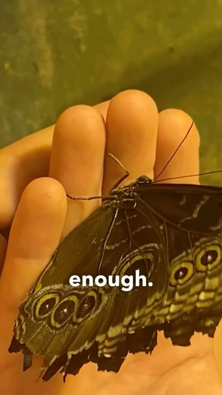 You are enough.
A million times over, enough.
This reel has been in my drafts since last year...September is Suicide Prevention month...a cause that has deeply affected me personally. It's one of the main reasons I focus on inspiring with our sticks, murals and posts. It's my little way of telling those around me to keep going. To say, even if I don't know you, you are seen, you are enough and there is hope.