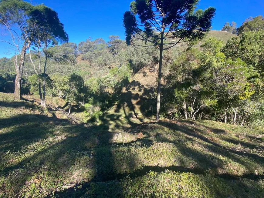 Terreno de 3,43 Hectares em Marmelópolis, Sul de Minas.
Imagine-se no seu refúgio particular. Este excelente terreno de 3,43 hectares está localizado em Marmelópolis, no coração do Sul de Minas Gerais. Uma propriedade com tudo o que você precisa para viver em paz e em contato com a natureza.
Com córrego d'água próprio, o terreno oferece uma vista deslumbrante das montanhas, garantindo paisagens únicas a cada amanhecer. Uma parte da área é coberta por uma reserva de mata nativa, proporcionando um ambiente ainda mais verde e preservado.
Localizado a cerca de 1.500 metros de altitude, o clima é agradável e fresco. A privacidade é garantida: o lugar é reservado e sem vizinhança próxima. Apenas 3 km de estrada de terra separam você do asfalto, unindo a tranquilidade do campo com a facilidade de acesso.
Com a documentação 100% regularizada, este é o local perfeito para quem busca construir um lar, uma casa de campo, ou até mesmo um chalé para se desconectar. Venha conhecer e se apaixonar por este paraíso!