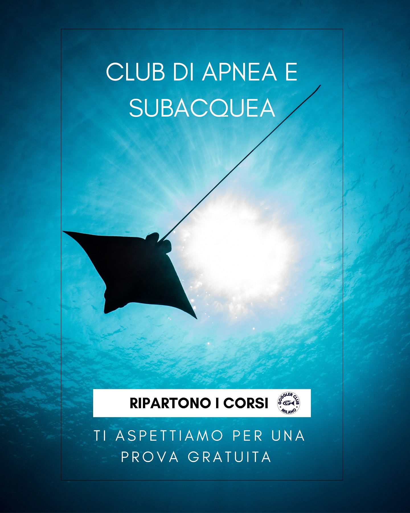 🌊 Pronto a scoprire il mondo sommerso?
Con il Goggler Club Milano puoi imparare apnea e subacquea in un ambiente sicuro, divertente e professionale 🤿🐠
🚀 Da ottobre partono i nostri nuovi corsi:
✅ Apnea (per principianti e avanzati)
✅ Subacquea
✅ Allenamenti per brevettati
✅ Specialità
👉 Sei curioso ma non sei sicuro? Vieni a provare: la prima lezione è GRATUITA!
📢 E non perdere la presentazione ufficiale dei corsi:
🗓️ Martedì 16 settembre 2025
⏰ Ore 21:15
📍 Via Gabriele Rossetti 4, Milano (zona CityLife)
📞 +39 351 3250171
📧 info@goggler.it
🌐 www.goggler.it
✨ Immergiti in una nuova avventura. Ti aspettiamo!
#GogglerClub #ApneaMilano #SubacqueaMilano #DivingLife #ApneaItalia #ScubaDiving #immersioni #freediving #immersionitecniche #immersioniricreative #mare #piscina #milano #citylife #corsiapnea #corsisub #corsisubacquei