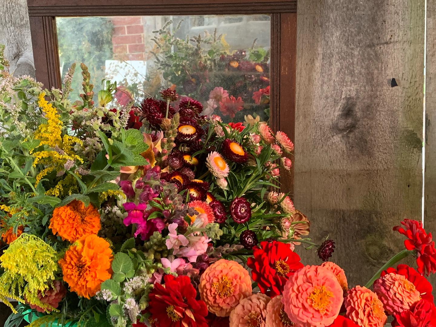 Then there are those days when I only harvest a few blooms and they all go in the same bucket together. The harvest turns into magic.
Could it be any more beautiful?
#Thegardeninharrington #harringtonontario #tavistockontario #tavistockontarioflowers #harringtonontarioflowers #embroontario #embroontarioflowers #embroontarioflowerdelivery #tavistockontarioflowerdelivery #thamesfordontario #lakesideontario #stmarysontario #stmarysontarioflowers #stmarysontarioflowerdelivery #woodstockontario #woodstockontarioflowers #woodstockontarioflowerdelivery #hicksonontario #flowerfarm #canadianflowerfarmer #ontarioflowerfarm #ontarioflowerfarmer #oxfordcounty #perthcounty #stratfordontario #stratfordontarioflowers #stratfordontarioflowerdelivery #freshflowers #haveyouseenaflowerfarmyet #thisiswhyifarm