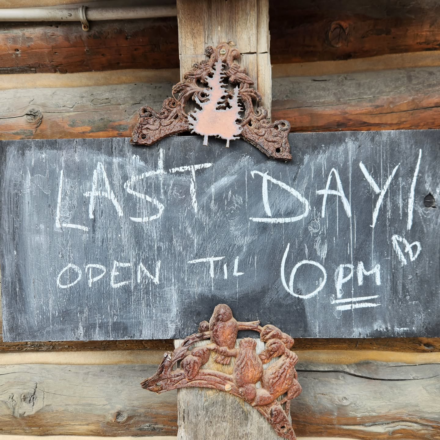 Last day of the season! We'll be here until 6 pm!
Come by for a pastry and a cup of love and celebrate fall with us!
