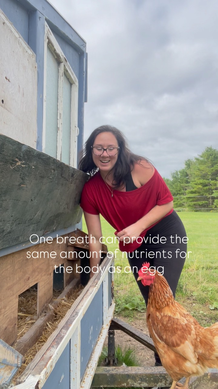 JK, I made that up!
But for real- both provide nourishment for the body.
Conscious breath supports the nervous system, HRV, hormone balance, lymphatic drainage and brain function.
Eggs are packed with micro nutrients to feed the daily functions of the body. Extra points for those pasture raised eggs!
So, same same right??
#concious #conciousliving #breathwork #somaticexperiencing #somaticpractices #farmlife #farmlifebestlife