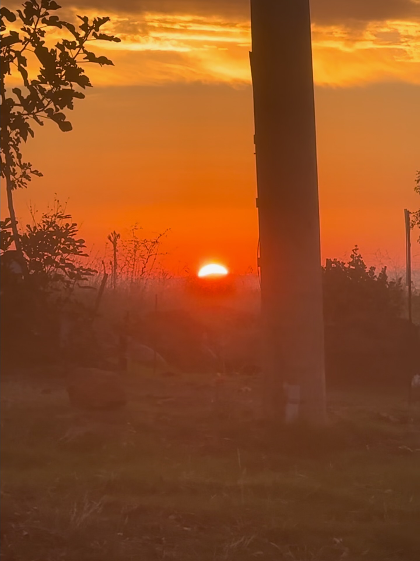 What are you running from that might actually hold the wisdom you need if you slowed down and listened?
#SpiritualAwakening
#PersonalGrowthJourney
#HolisticHealing
#WellnessWisdom
#SelfLovePractice