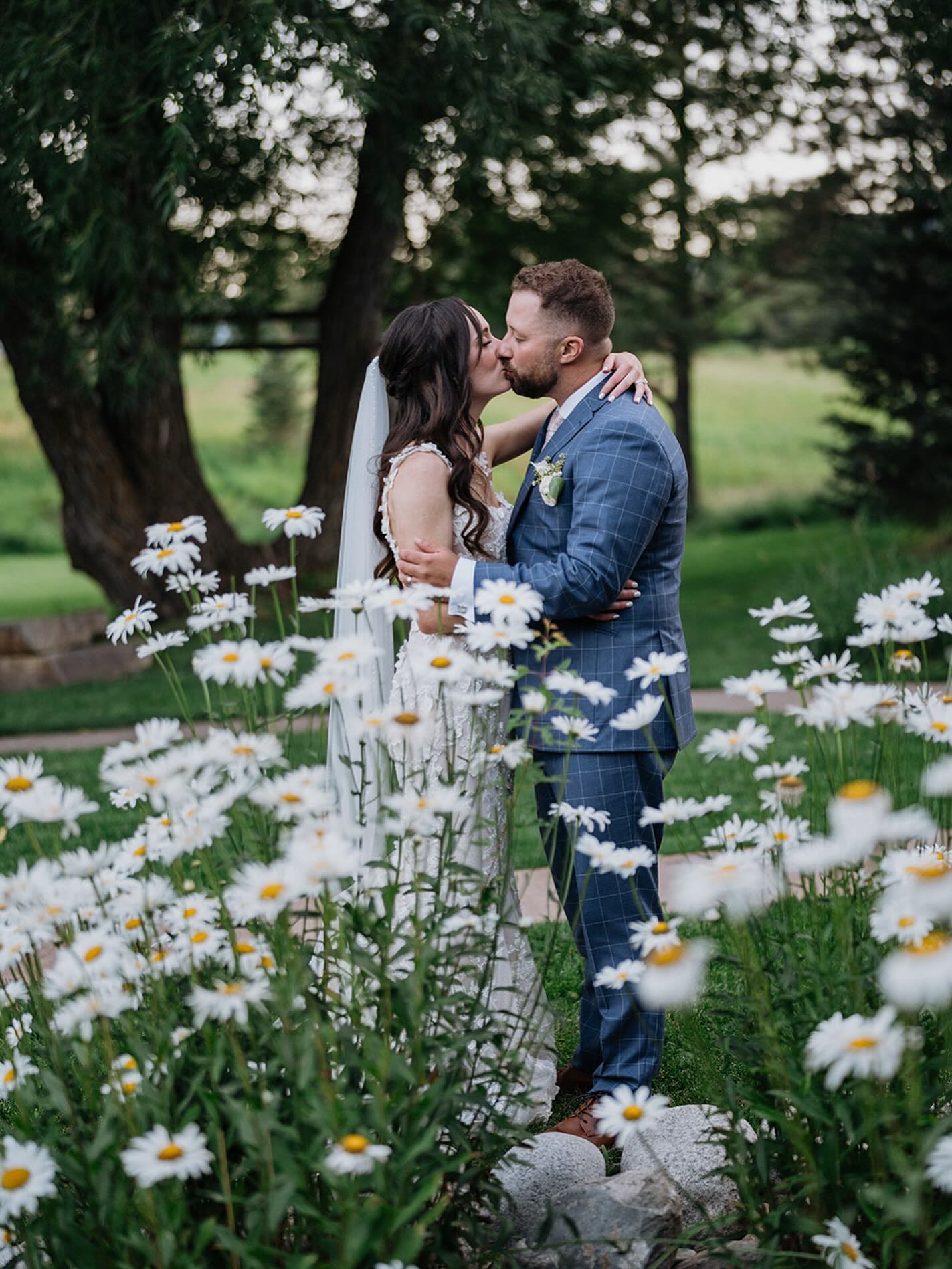 Just married kisses among the daisies 🌼 @pjvanphoto