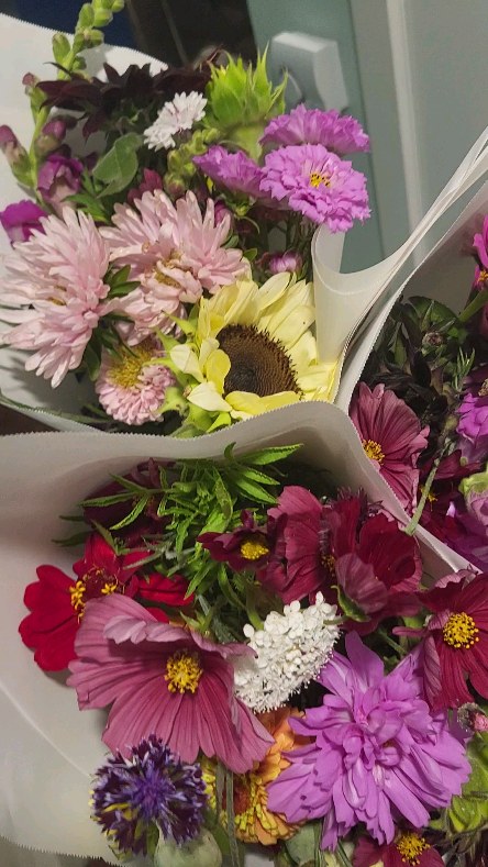 Week 4 subscription bouquets 💐 🙌 Can't believe we only have 1 more pickup of the season. Thank you to all who signed up for my subscription. For believing in me and my flowers, and I truly hope they have brought you some joy and good vibes this summer!
My flowers are also available at @highomarket this afternoon in a market style wrapped bouquet.