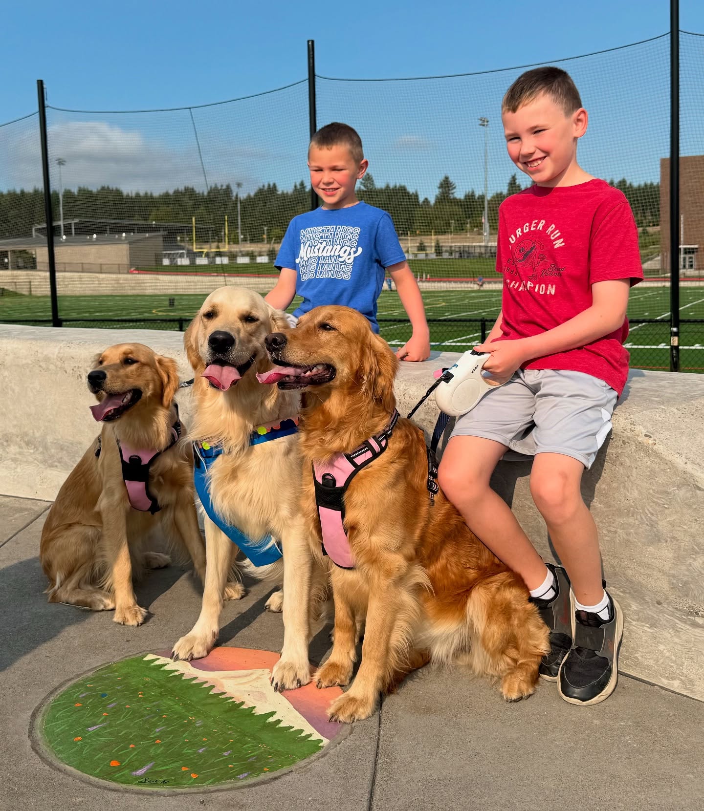 Goldies checking out THE BRIDGE! 🐾🐾🐾