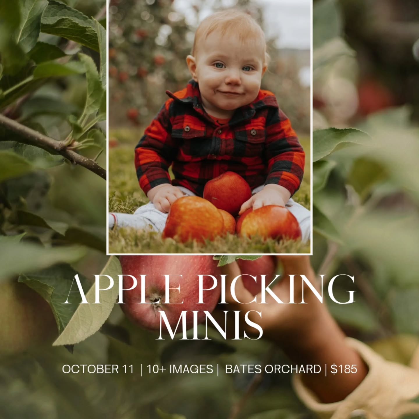 Apple Picking Minis
Join me for some premium fall fun next month for a perfect fall date for you and the ones you love.
Each session includes
🍎 10lb bag to pick your own apples
🍎 15 minute photo session
🍎 10+ images
🍎 Only a $50 deposit to secure your spot!
Check out my website for my online booking to join one of my fall or christmas mini sessions 🍂