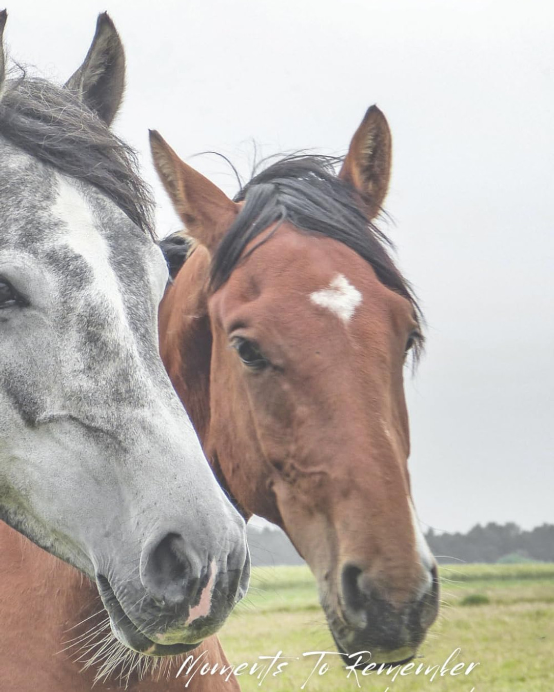 🌈 Capture your thoughts and feelings with "Moments to Remember: A Daily Journal." This daily companion offers structured prompts to inspire growth and reflection. Join the journey of self-discovery today! ✨ Link in Bio #Journal #PersonalGrowth #Mindfulness