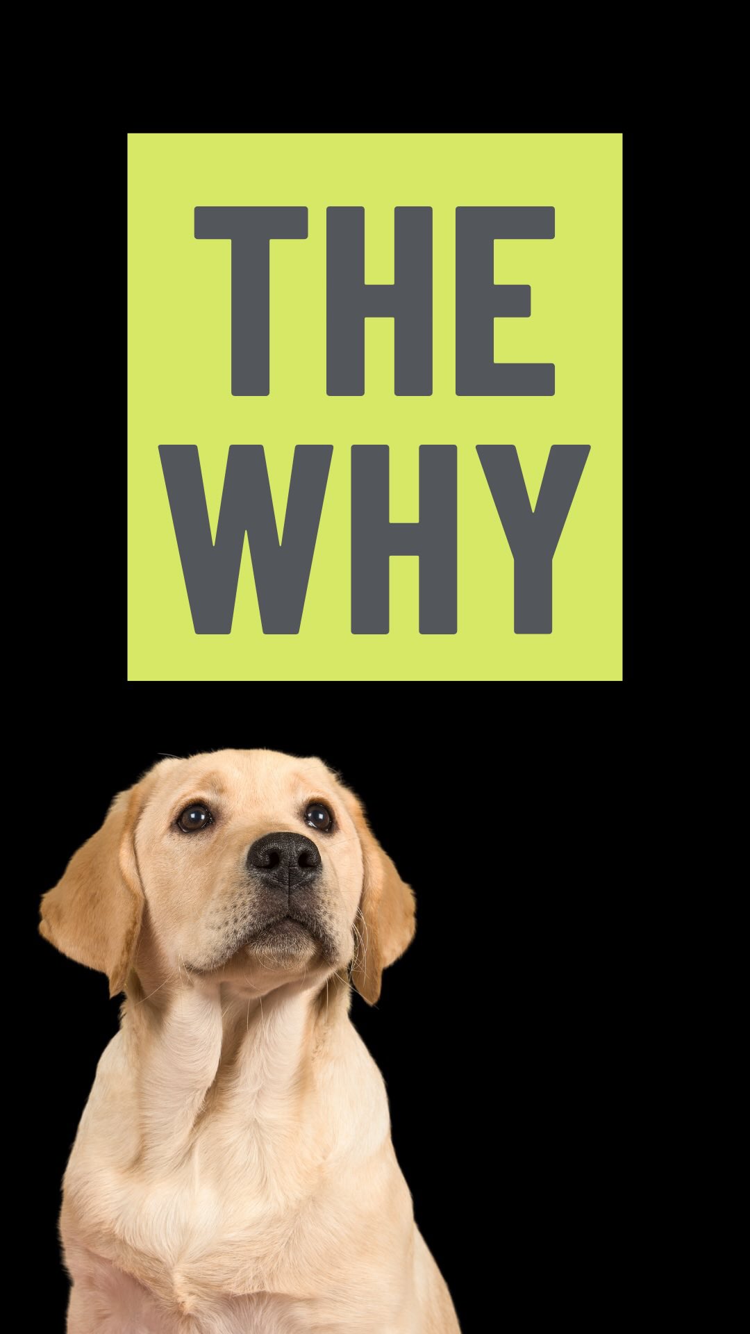 Laura shares The WHY behind our big announcement — the full story for those who want to understand it all. Because no one should have to wait years for hope. #TheWHY