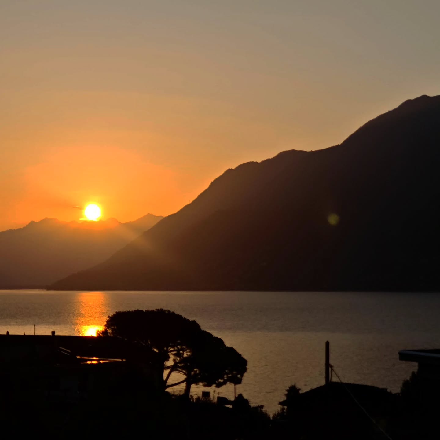 Splendida alba a Brissago! Una magnifica alba a Brissago, dove il cielo si accende di colori dorati e il lago riflette la magia del nuovo giorno."
Great sunrise in Brissago! An unforgettable sunrise in Brissago, where golden light paints the sky and the lake mirrors the beauty of a new day.
#brissago #brissagoislands #visitbrissago
#visitticino #ticino #ticinoturismo #switzerland #switzerland🇨🇭 #travel #swiss #swissriviera #brissago4u #lake #boat
#fineartphotography
#swissalps #swissculture #loves_united_switzerland #switzerlandwonderland #got_greatshots #planet_earth_shots #suissebook #discoverthealps #discoverswitzerland
#mybrissago
@mybrissago
@lidobrissago
@tcbrissago
@bahiabrissagosnackbar
@cantina.giromit
#cantina.giromit
@aziendavitivinicolachiappini
#aziendavitivinicolachiappini