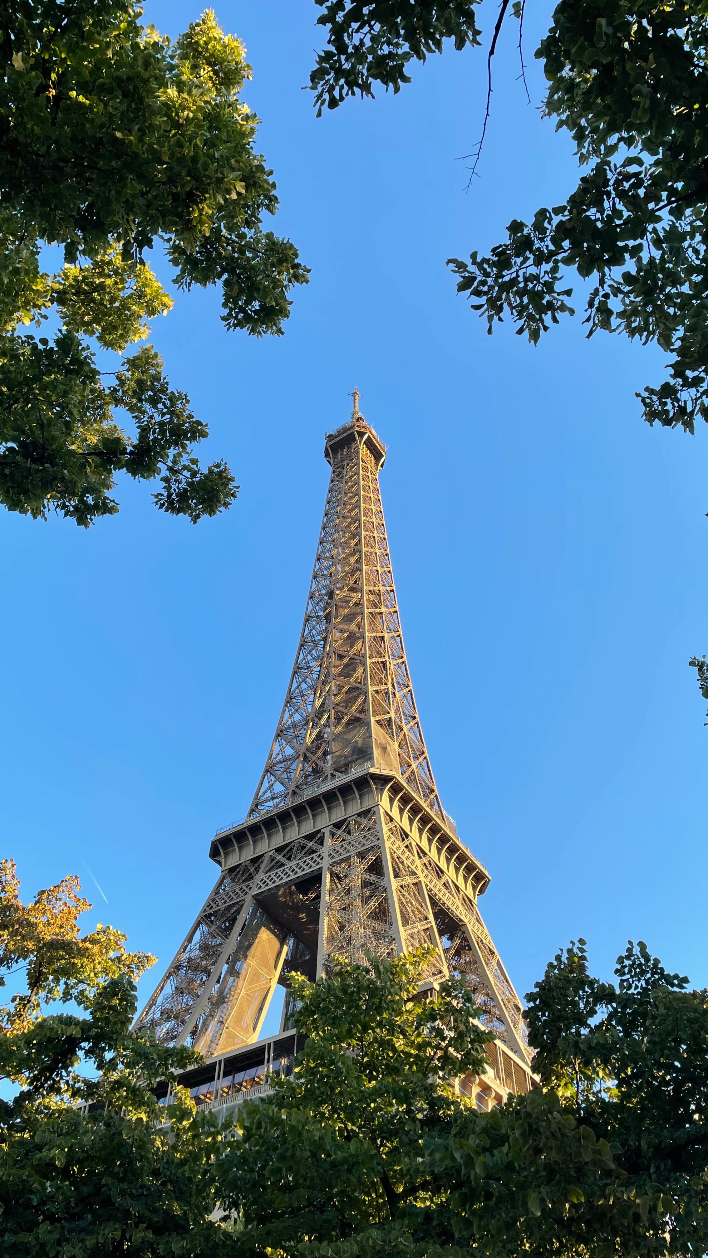 ✨ París es un destino que enamora y estos son los imprescindibles que no te puedes perder:
• Sacré-Cœur con sus vistas mágicas 🕊
• La Torre Eiffel brillando en todo su esplendor ✨
• El arte sin fin del Louvre 🎨
• El encanto bohemio de Montmartre y sus calles 🎭
• El Palacio de Versalles, pura elegancia 👑
• Paseo en bici por la ciudad 🚴♀️
• Atardecer en barco por el Sena 🚤🌅
• Perderse por sus calles llenas de historia 🏙
• El Arco del Triunfo y otros museos icónicos 🏛
🇫🇷 París es para vivirlo, ¿cuál de estos lugares visitarías primero? #travelphotography #eiffeltower #parismonamour #travelblogger