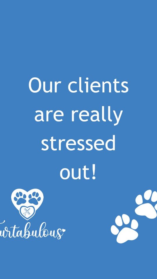 Poor Missy was soooooo stressed for her groom 😅🐾💙
In all seriousness, though, we take pride in being able to provide a safe space for your pups 🐶 🐾💙