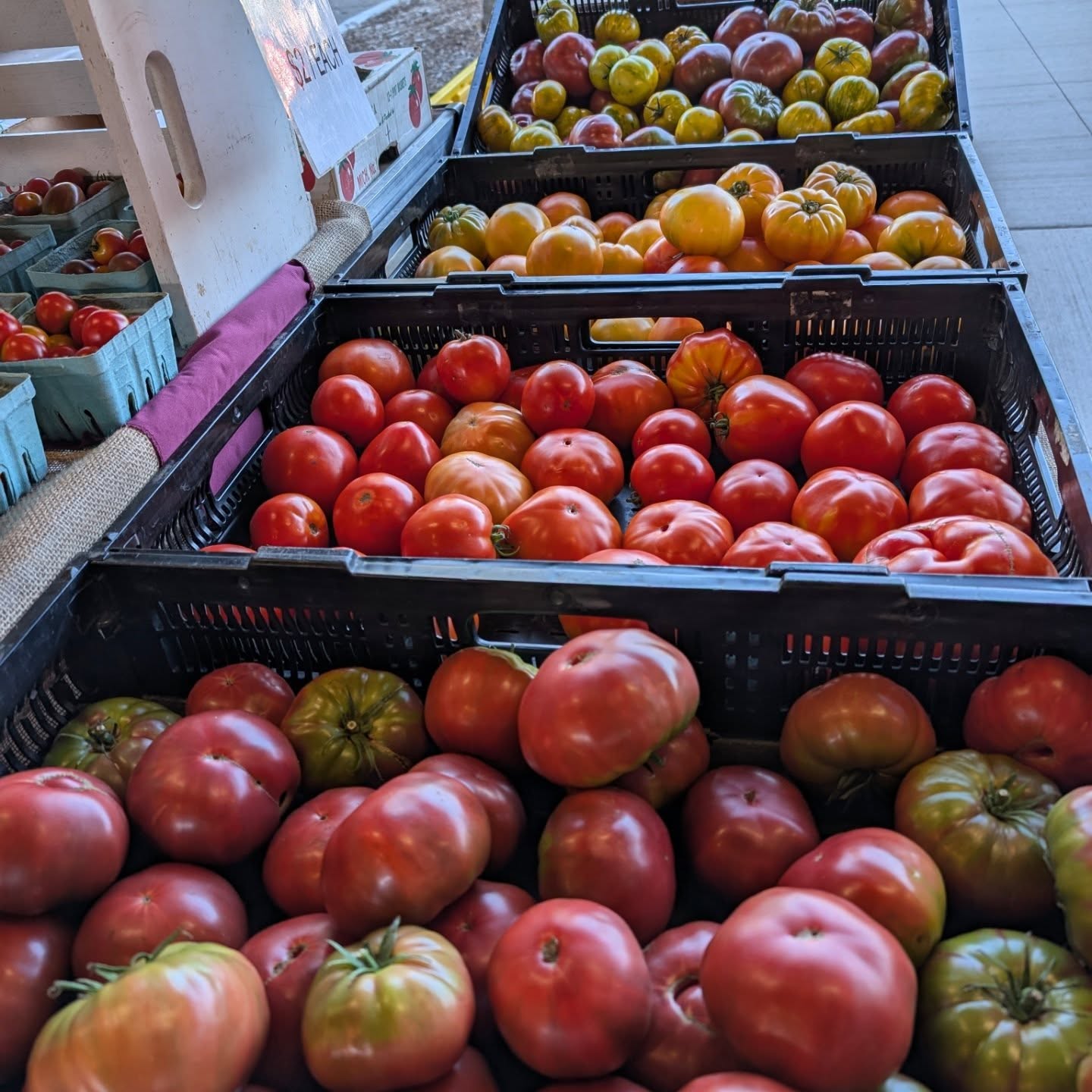 ..... It's Tomato Town @kalamazoomarket and @texastwpfm Come on down!