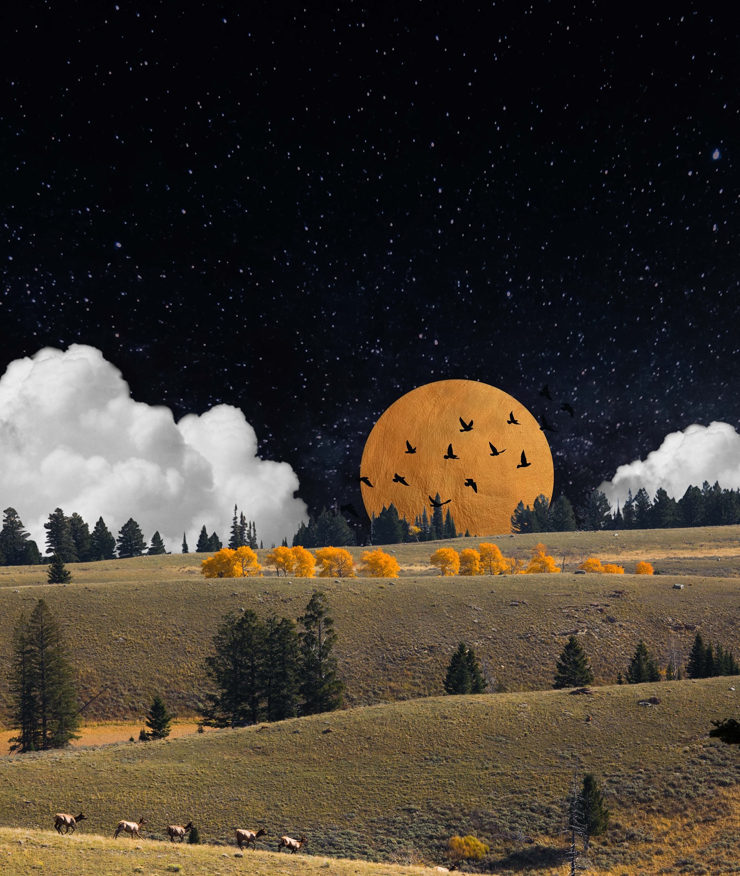 We just installed this inspired group of prints by @racquel_kwe Racquel Banaszak @knockinc . Titles in order of appearance; Once There Were Songs For Everything, It’s Nice to See You, All Systems Go, Portal to Space, Ambe Giiwebatoo (Come On and Run Back Home), Waaseyaa (It is Bright, It is Light), They Are Traveling To a Certain Place.